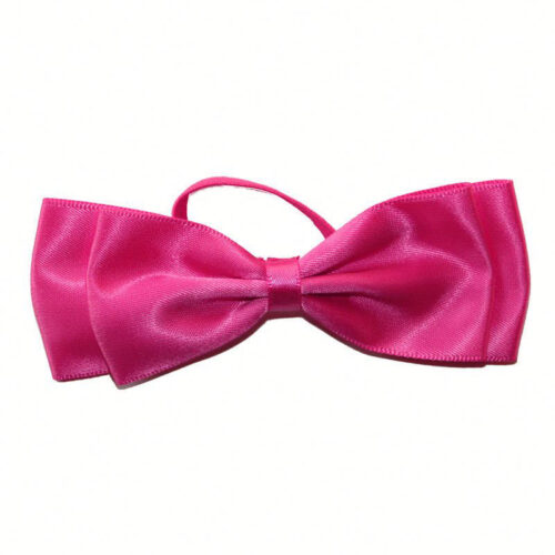 Magenta wine bottle bow tie display