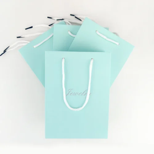 حقائب ورقية مخصصة باللون الأخضر النعناعي مع مقابض حبل بيضاء، مصممة للمجوهرات والعلامات التجارية للبيع بالتجزئة، تعرض أحجامًا مختلفة وخيارات تخصيص.